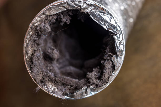 Best Affordable Duct Cleaning Services  in Kewaunee, WI